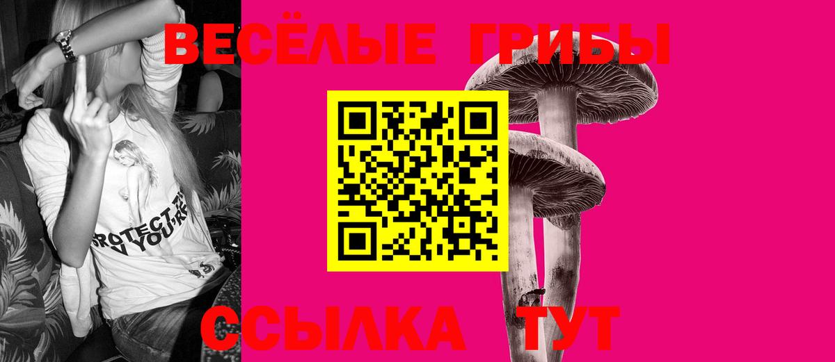 Псилоцибиновые грибы Magic Shrooms Великие Луки