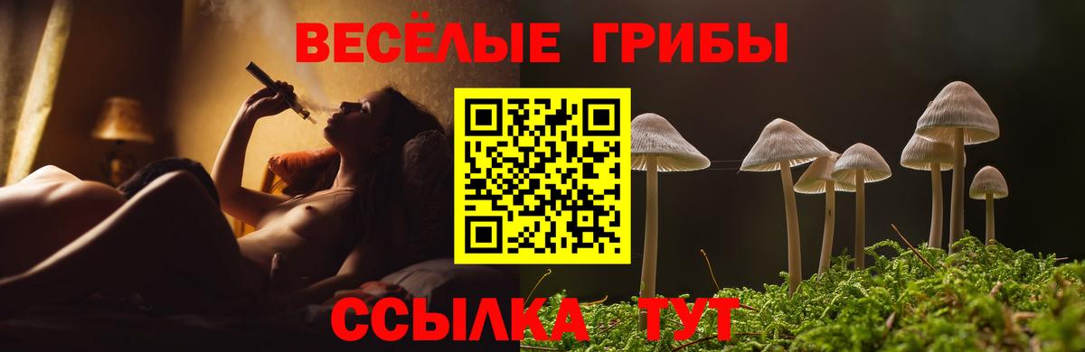 Псилоцибиновые грибы Psilocybe  Вход с VPN  Великие Луки  Псилоцибиновые грибы Psilocybe 